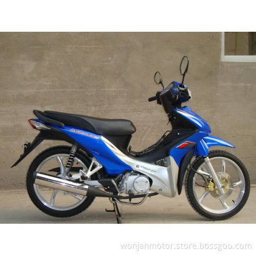 Shogun Scooter (WJ110-9II)